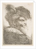 Head of an old man facing right, from the series of 'Large Oriental Heads', ca. 1645-1650 by Giovanni Benedetto Castiglione