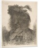 Head of a man in shadow turned slightly to the left, from the series of 'Large Or…, ca. 1645-1650 by Giovanni Benedetto Castiglione