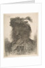 Head of a man in shadow turned slightly to the left, from the series of 'Large Or…, ca. 1645-1650 by Giovanni Benedetto Castiglione