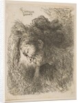 Head of an old man looking down, facing left, from the series 'Small Studies of He…, ca 1645-1650 by Giovanni Benedetto Castiglione