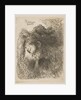 Head of an old man looking down, facing left, from the series 'Small Studies of He…, ca 1645-1650 by Giovanni Benedetto Castiglione