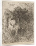Head of an old man looking down, facing Left, from the series of 'Small Heads in …, ca. 1645-1650 by Giovanni Benedetto Castiglione