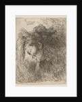 Head of an old man looking down, facing Left, from the series of 'Small Heads in …, ca. 1645-1650 by Giovanni Benedetto Castiglione