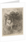 Head of an old man looking down, facing Left, from the series of 'Small Heads in …, ca. 1645-1650 by Giovanni Benedetto Castiglione
