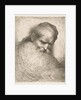 A bearded man wearing a cap looking down to the right, from the series 'Heads in Or…, ca. 1648-50 by Giovanni Benedetto Castiglione