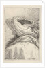 Man in a turban, depicted in bust length format from behind in three-quarters view, fr…, ca. 1770 by Giovanni Battista Tiepolo