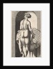 Plate 4: Juno standing in a niche, viewed from behind, stroking a peacock to her right, fr…, 1526 by Giovanni Jacopo Caraglio