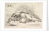 Woman Slain with Sword, 1740-1802 by Giuseppe Canale