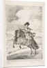Balthasar Carlos, Prince of Spain and Son of Philip I by Francisco Goya