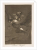 Plate 64 from 'Los Caprichos': Bon voyage, 1799 by Francisco Goya