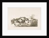 Plate 22 from 'The Disasters of War': 'Even worse. by Francisco Goya