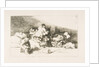 Plate 25 from 'The Disasters of War': 'These too. by Francisco Goya