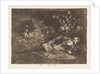 Plate 69 from 'The Disasters of War': 'Not…, 1810-20, published 1863 by Francisco Goya