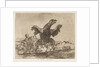 Plate 76 from 'The Disasters of War' by Francisco Goya