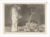 Plate 2 from the 'Disparates': Folly of Fear, ca. 1816-23 by Francisco Goya