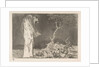 Plate 2 from the 'Disparates': Folly of Fear, ca. 1816-23 by Francisco Goya