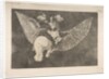 Plate 5 from the 'Disparates': Flying Folly, ca. 1816-23 by Francisco Goya