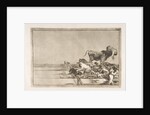 Plate 21 from the 'Tauromaquia': Dreadful events in the front rows of the ring at Madrid a…, 1816 by Francisco Goya