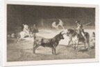 Plate 27 from the 'Tauromaquia': The celebrated picador, Fernando del Toro, draws the fier…, 1816 by Francisco Goya