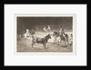 Plate 27 from the 'Tauromaquia': The celebrated picador, Fernando del Toro, draws the fier…, 1816 by Francisco Goya