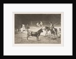 Plate 27 from the 'Tauromaquia': The celebrated picador, Fernando del Toro, draws the fier…, 1816 by Francisco Goya