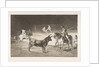 Plate 27 from the 'Tauromaquia': The celebrated picador, Fernando del Toro, draws the fier…, 1816 by Francisco Goya
