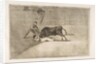 Plate 33 from the 'Tauromaquia': The unlucky death of Pepe Illo in the ring at Madrid., 1816 by Francisco Goya