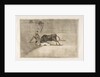 Plate 33 from the 'Tauromaquia': The unlucky death of Pepe Illo in the ring at Madrid., 1816 by Francisco Goya