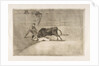 Plate 33 from the 'Tauromaquia': The unlucky death of Pepe Illo in the ring at Madrid., 1816 by Francisco Goya