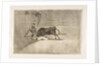 Plate 33 from the 'Tauromaquia': The unlucky death of Pepe Illo in the ring at Madrid., 1816 by Francisco Goya