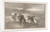 Plate 2 of the 'Tauromaquia': Another way of hunting on foot, 1816 by Francisco Goya