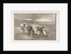 Plate 2 of the 'Tauromaquia': Another way of hunting on foot, 1816 by Francisco Goya
