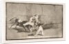 Plate 8 of the'Tauromaquia': A Moor caught by the bull in the ring, 1816 by Francisco Goya