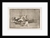 Plate 8 of the'Tauromaquia': A Moor caught by the bull in the ring, 1816 by Francisco Goya