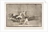 Plate 8 of the'Tauromaquia': A Moor caught by the bull in the ring, 1816 by Francisco Goya