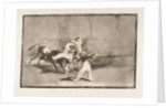 Plate 8 of the'Tauromaquia': A Moor caught by the bull in the ring, 1816 by Francisco Goya