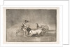 Plate 9 of the 'Tauromaquia': A Spanish knight kills the bull after having lost his horse., 1816 by Francisco Goya