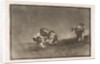 Plate 16 of the 'Tauromaquia': The same man throws a bull in the ring at Madrid., 1816 by Francisco Goya