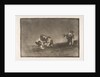 Plate 16 of the 'Tauromaquia': The same man throws a bull in the ring at Madrid., 1816 by Francisco Goya