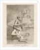 Plate 70 from 'Los Caprichos': Devout Profession, 1799 by Francisco Goya