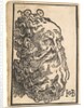 Head of a Bearded Man, ca. 1518-19 by Hans Baldung