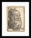 Head of a Bearded Man, ca. 1518-19 by Hans Baldung