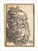 Head of a Bearded Man, ca. 1518-19 by Hans Baldung