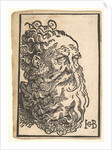 Head of a Bearded Man, ca. 1518-19 by Hans Baldung