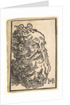 Head of a Bearded Man, ca. 1518-19 by Hans Baldung