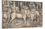 Group of Seven Horses, 1534 by Hans Baldung