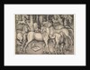 Group of Seven Horses, 1534 by Hans Baldung
