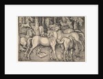 Group of Seven Horses, 1534 by Hans Baldung