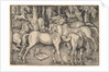 Group of Seven Horses, 1534 by Hans Baldung