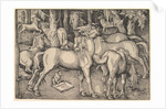 Group of Seven Horses, 1534 by Hans Baldung